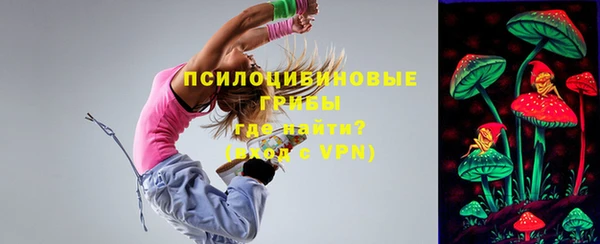 jwh Богородицк