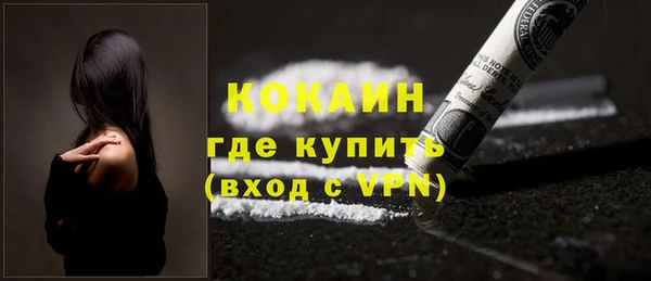соль ск Богданович