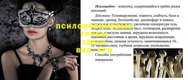 jwh Богородицк