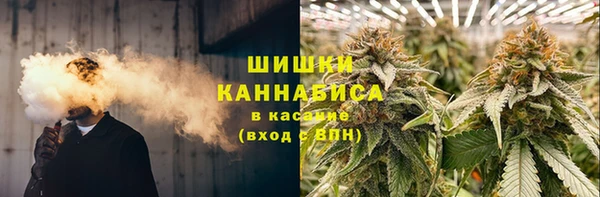 соль ск Богданович