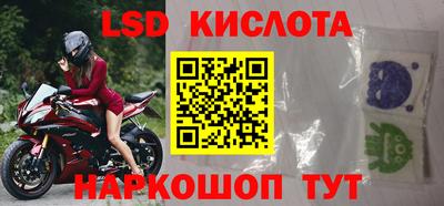 jwh Кингисепп