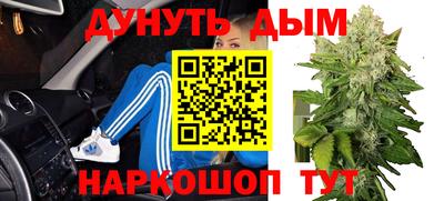 jwh Кингисепп