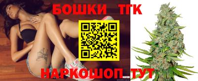 jwh Кингисепп