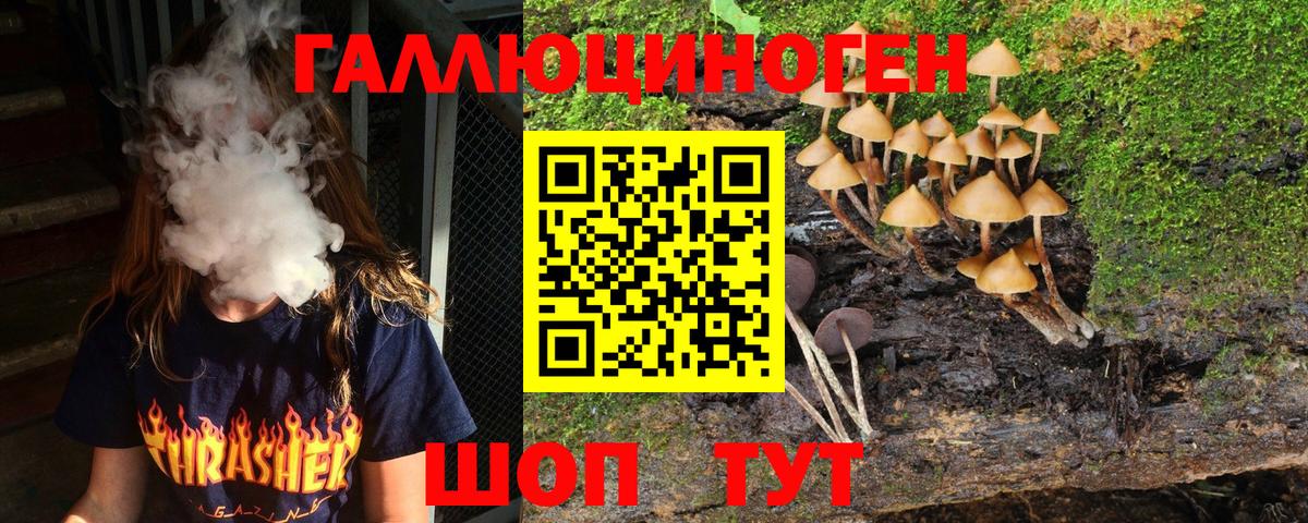 Мурманск  Псилоцибиновые грибы Cubensis  Вход с VPN 